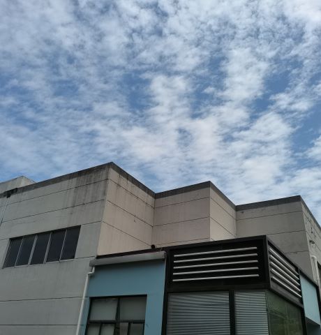 炎炎夏日，凉从心来